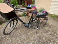 Bosch Damen E-Bike - Gaukönigshofen