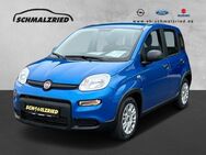 Fiat Panda, 1.0 Base Mild Hybrid Berganfahrass teilb Rücksb, Jahr 2024 - Bremerhaven