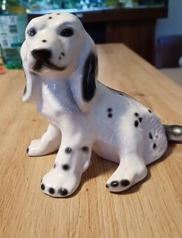 Deko Figur sammeln Hund Dalmatiner, Porzellan - Köln
