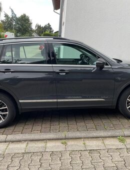 Volkswagen Tiguan - Alzey