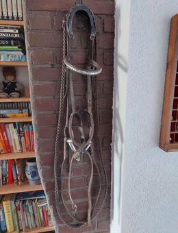 Trense Zaum Zügel Kieffer WB Olivenkopf Trense einf. gebr. 13 cm - Aßling