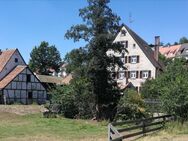 Ehemalige Dorfmühle von Wilhermsdorf - Wilhermsdorf