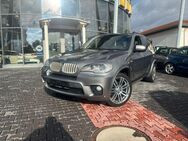 BMW X5 30d M-Paket RFK.Bi-Xenon.Navi.Panorama. - Mainz