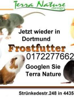 Frostfutter für Reptilien Frost- Babymäuse / -Mäuse / -Ratten klein mittel Groß u. XXXL 500gr.+ / -Hasen - Kücken Frostfutter - Dortmund Mengeder Heide