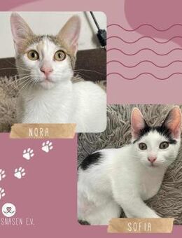 Nora und Sofia möchten so gern reisen - Lalendorf