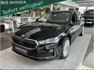 Skoda Superb, 2.0 TDI Combi Selection Massage, Jahr 2024 - Hemmingen (Niedersachsen)