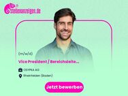 Vice President / Bereichsleiter Supply Chain Management (m/w/d) - Rheinfelden (Baden)