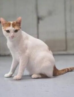 Denis Powerschmuser sucht tolle Familie - Unterföhring