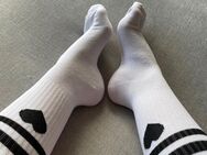 Verschwitzte Tennissocken - Frankfurt (Main)