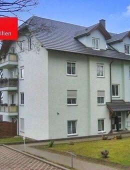 Attraktives Immobilienpaket über 13 Eigentumswohnungen in begehrter Lage von Weißenfels - Weißenfels