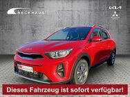 Kia Stonic, 1.0 T 100 VISION, Jahr 2024 - Langenberg