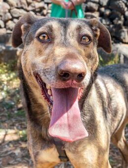 Kira - niemand sieht sie? - Bochum