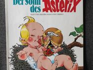 Asterix und Obelix Band 27 - Plettenberg