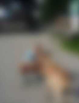 Hap*** - Immenstadt (Allgäu)