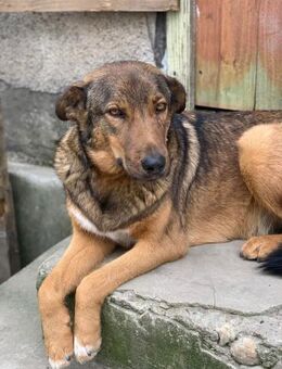 Bezaubernde Sina sucht ihr Glück - Celle