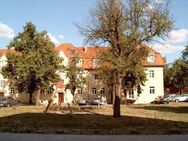 Ruhige und sonnige Zwei-Zimmer-Wohnung, Bad mit Fenster, Stellplatz und Garten in Trachau/Kaditz, 1. OG rechts - Dresden