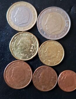 Belgien Euro-Satz 7 Münzen Euro mit Porträt von König Albert II. - Essen