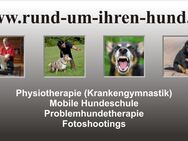 Mobile Hundeschule, Problemhunde, Physiotherapie, Fotoshootings - Lippstadt