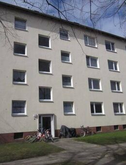 Schöne Wohnung: individuelle 3-Zimmer-Wohnung - Schwarzenbek