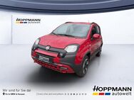 Fiat Panda, Base, Jahr 2024 - Gummersbach