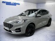 Ford Kuga 2.5 Duratec FHEV 4x4 GRAPHITE TECH EDITION - Freiburg (Breisgau)