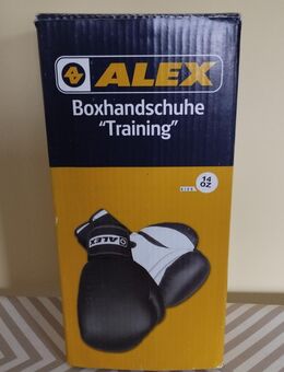 Alex Boxhandschuhe "Training", Sitze 14 oz - Kaltenkirchen