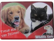 Wildlife Serie - Treue auf vier Pfoten - Hund & Katze - Blechpostkarte mit Umschlag - Doberschütz