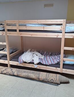 Ikea Hochbett Mydal 90 x 200 zu verkaufen in 63679 Schotten - Schotten