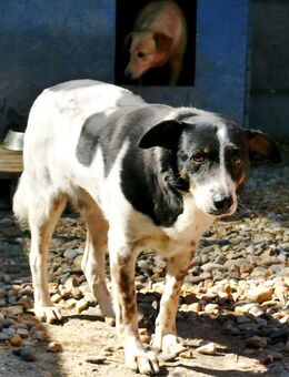 Wunder gesucht - Kefenrod