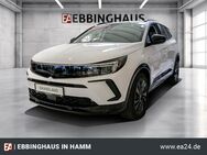 Opel Grandland, - El Mehrzonenklima, Jahr 2024 - Hamm