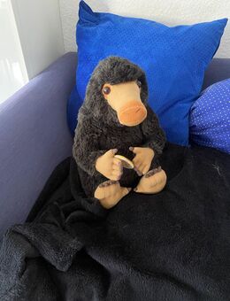 Niffler aus Fantastische Tierwesen :) - Schwalbach (Taunus)