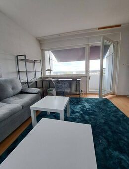 möblierte Einzimmerwohnung mit einmaligen Ausblick - Nürnberg
