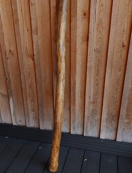 Altes Didgeridoo - Australisches Musikinstrument Eukalyptus, 136 cm - Augsburg