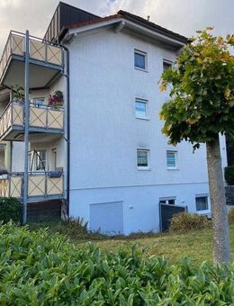 Renovierte Souterrain-Wohnung in Höhr-Grenzhausen - Höhr-Grenzhausen
