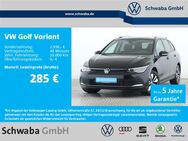 VW Golf Variant, 1.5 Move eTSI 16, Jahr 2024 - Gersthofen