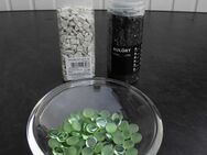 Glas Schale 19 cm asymmetrisch schlicht + Ikea Kulört Glassplitter + Depot Deko Steine + Glas Nuggets grün- zusammen 4,- - Flensburg
