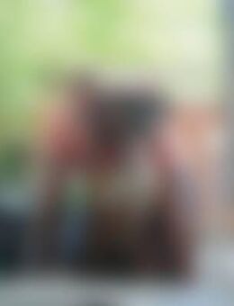 Max*** - Hohenstein-Ernstthal