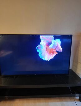 Smart TV Fernseher ist Philips 58 zoll 146 cm ultra hd 4k - Göttingen