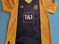 Borussia Dortmund Sondertrikot 2024 (Größe XL) - Reutlingen