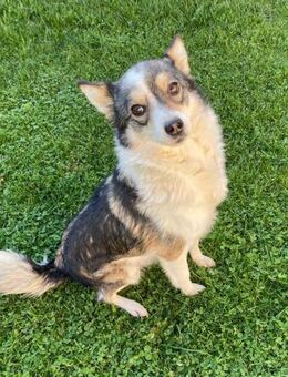 🩷 Feliz - Markkleeberg