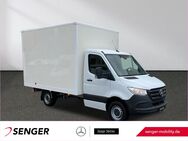 Mercedes Sprinter, 314 Koffer L2, Jahr 2020 - Oldenburg