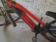 Verkaufe E-Bike torqz - Oranienburg