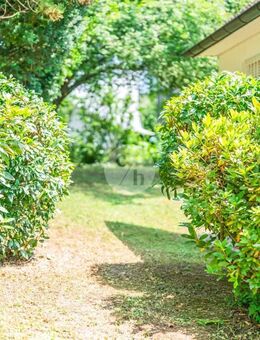 Freistehendes Einfamilienhaus mit ca. 825 qm Grundstück in ruhiger Lage - sanierungsbedürftig! - Freiburg (Breisgau)