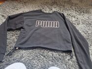 Puma Crop Pullover M - Gelsenkirchen Resse