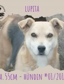 Lupita - Rotenburg (Fulda)