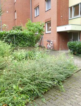 schöne 2-Zimmerwohnung in Ronnenberg - Ronnenberg