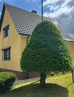 Wohnoase mit Weitblick: Einfamilienhaus mit Sauna, Pool & Ausbaureserve in Medingen - Ottendorf-Okrilla