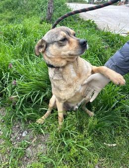 Absolut menschenbezogen = lieber ANDY♥️ - München