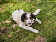 BOOMER - jeden Tag geht es mir besser - Overath