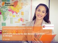 Lehrkraft (m/w/d) für den Bereich Querflöte in Minijob - Spenge